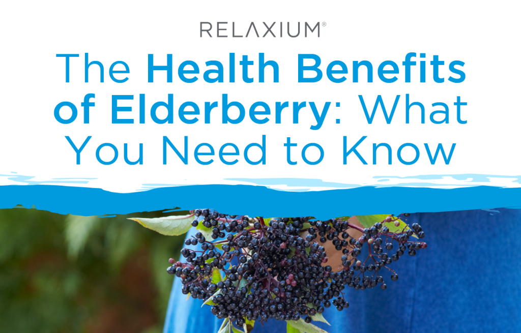 The Health Benefits of Elderberry: What You Need to Know