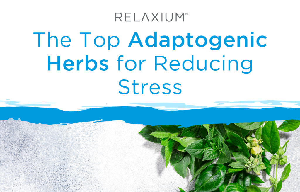 The Top Adaptogenic Herbs for Reducing Stress