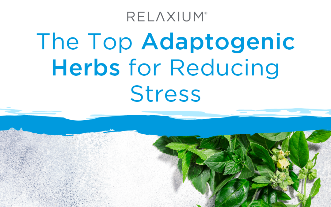 The Top Adaptogenic Herbs for Reducing Stress