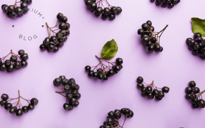 The Immune Boosting Combo of Vitamin C & Elderberry